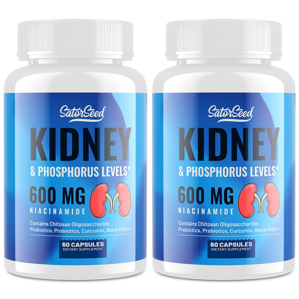 SatorSeed Soutien rein capsules — format pratique pour prise quotidienne après les repas.