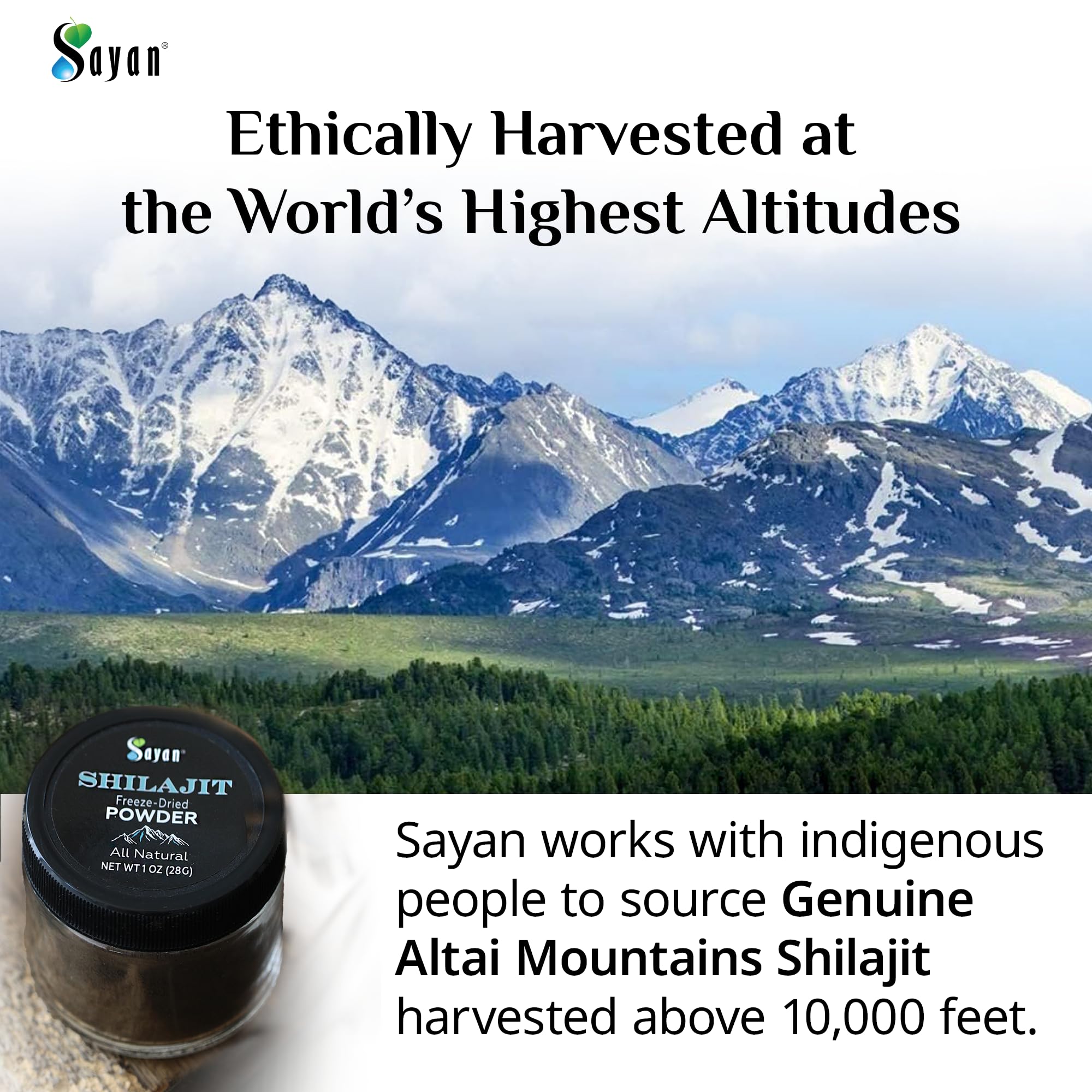 Poudre Shilajit Sayan, dosage facile pour intégrer votre routine végane.