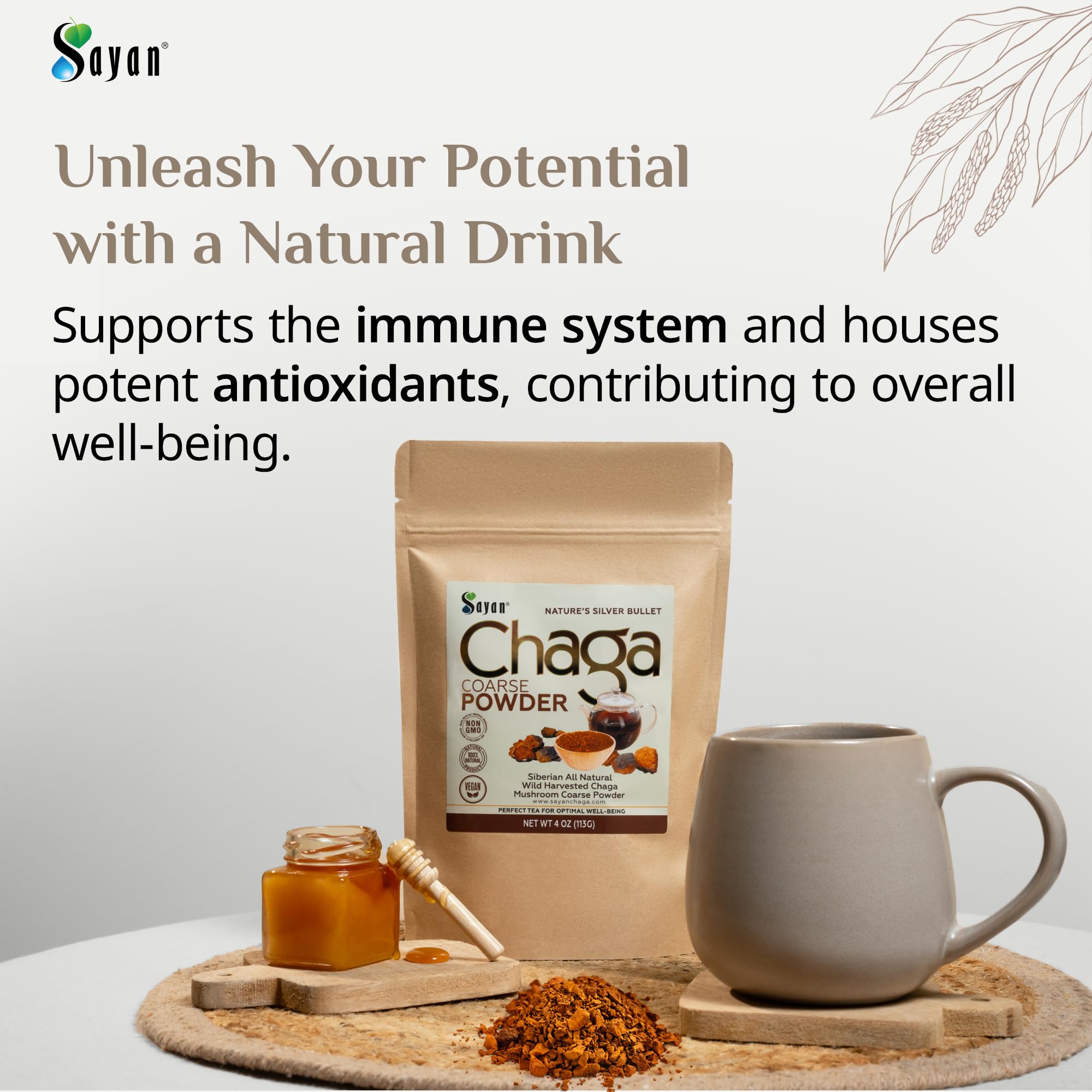 Cuillère-mesure avec Sayan Chaga poudre pour dosage précis.