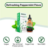 SBR Nutrition MAX Absorption formulation menthe: goût rafraîchissant sans allergènes courants.