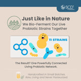 SCD Probiotics dosage enfant – dose adaptée et facile.