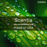 Scentia Thanksgiving Blend: ambiance chaleureuse avec cannelle et vanille.