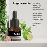 Scentluxe Hotel Essential Oils, infographie-odeur, montre les couches parfumées qui se développent.