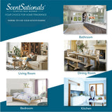 Scentsationals Déco Chauffe-Plug Design Moderne, élégant et discret.