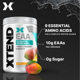 Xtend EAA Scivation — shake post-entraînement pour récupération et croissance.