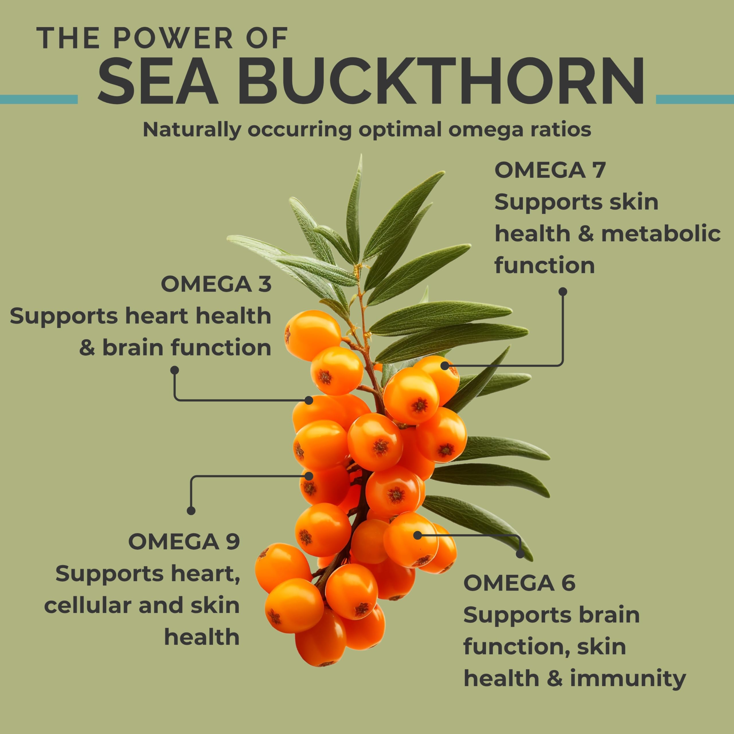 SeabuckWonders certification USDA: qualité premium du flacon