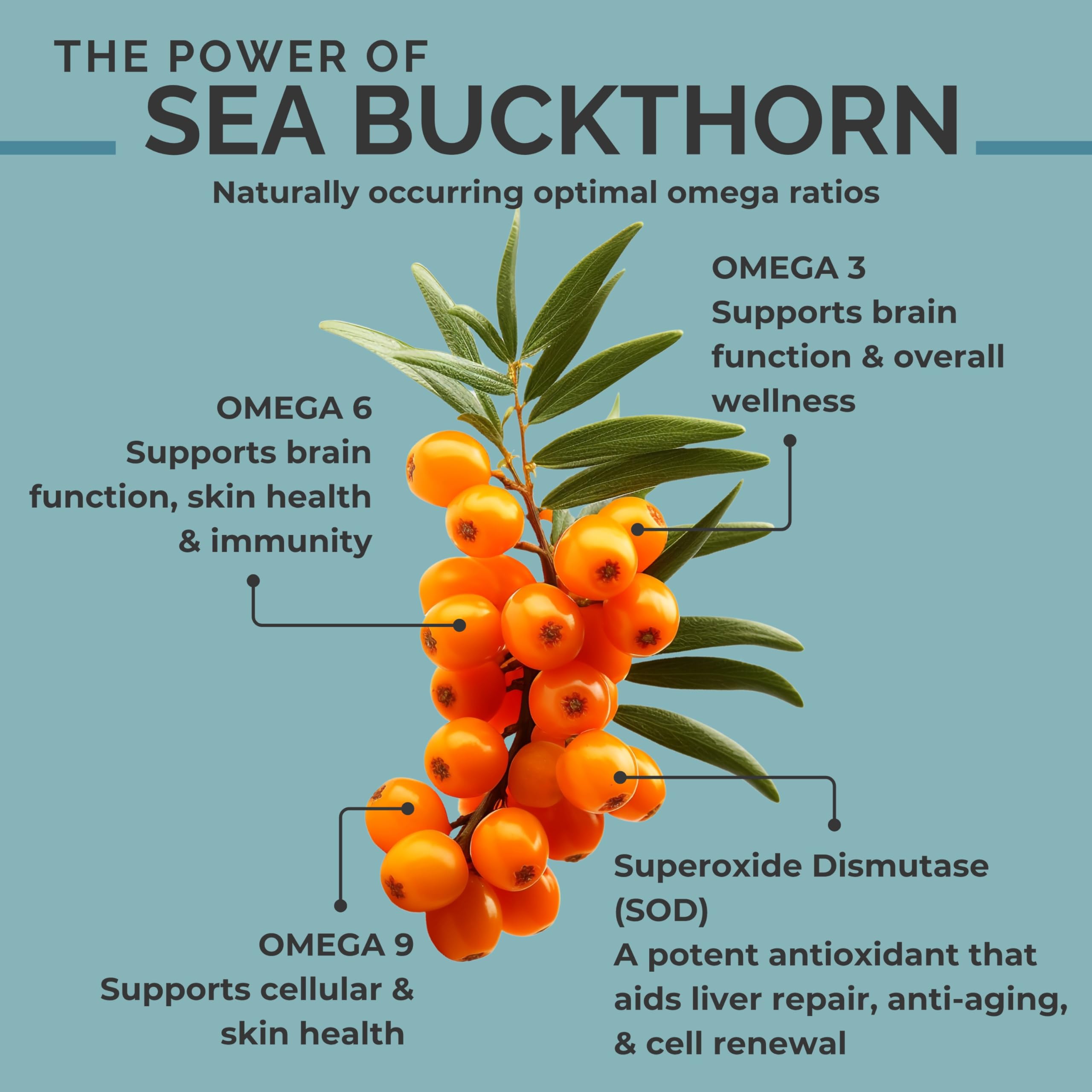 SEABUCKWONDERS étiquette biologique certifiée — produit pur et sans additifs.