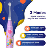 SEAGO brosse-dents électrique rechargeable USB, prête à l’emploi sans piles.