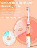 Brosse SEAGO orange IPX7 étanche, rinçage sans souci après chaque brossage.