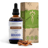 Secrets of the Tribe Extrait cryptolepis sans alcool – rituel bien-être quotidien.