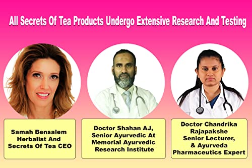 Secrets Of Tea Vidalocity paquet 60 gelules – format mensuel pratique.