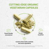 Secrets of the Tribe Yarrow – capsules-végétales, format végétal facile à avaler