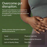 Seed 14 Day Gut Reset – formulation DS01: probiotiques puissants pour le soutien digestif.