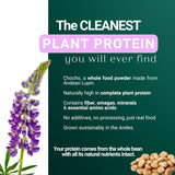 SEED Chocho Bol: protéine végétale pour collations équilibrées