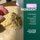 Étiquette SEED Chocho sans gluten, lactose, soja et OGM