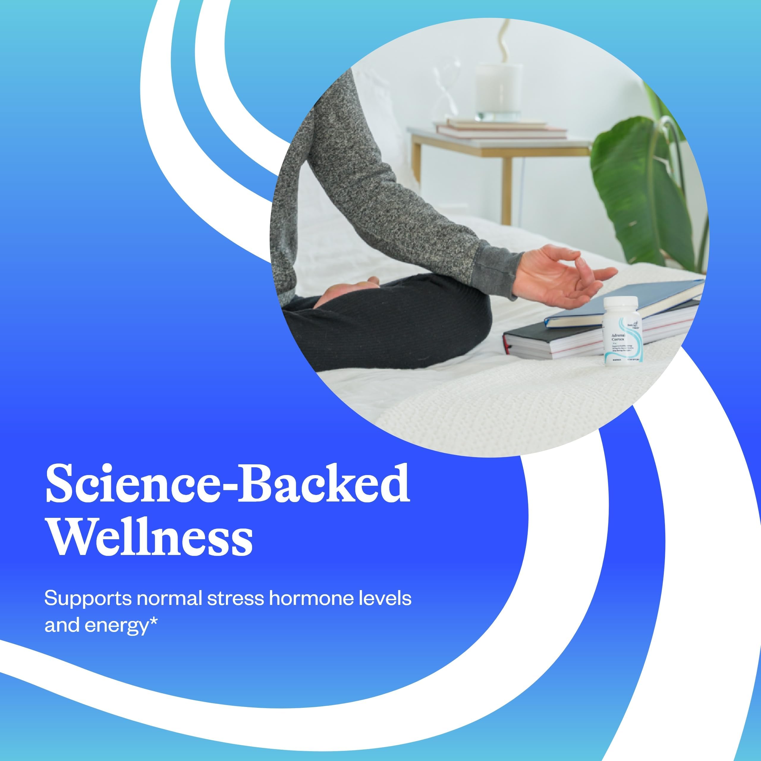 Seeking Health Adrenal Cortex - emballage propre et recyclable.