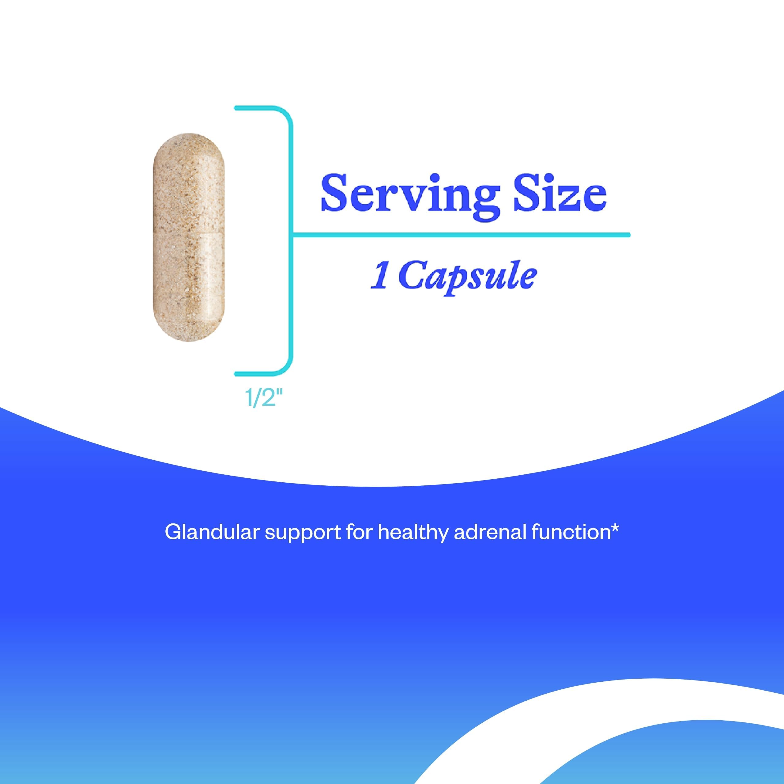 Seeking Health Adrenal Cortex - étiquette lisible, informations claires sur le produit.