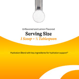 Seeking Health Électrolyte - ingrédients clés sodium et potassium pour soutien musculaire