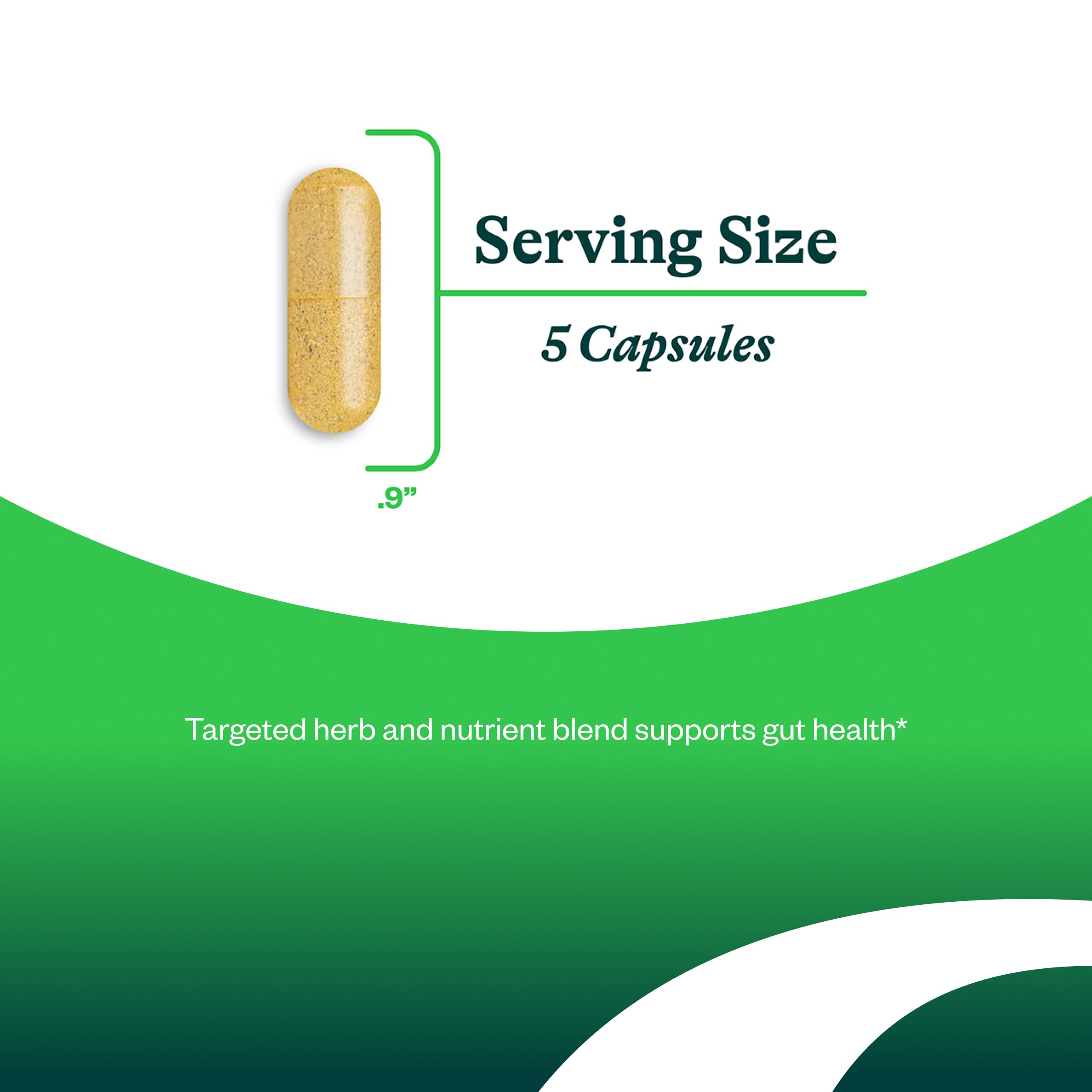 Capsules Seeking Health Gut Nutrients – format pratique pour l’utilisation quotidienne.