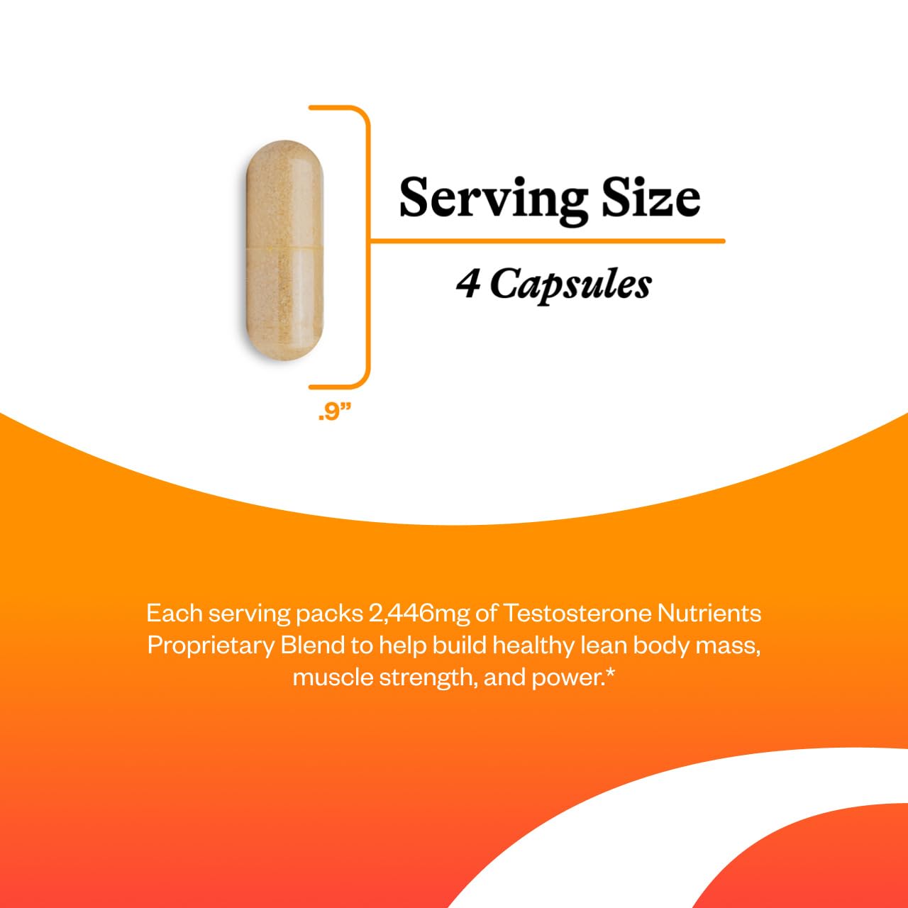 Seeking Health Testosterone Nutrients etiquette-ingrédients, transparence sur les composants et origines