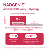 Selerb NADGENIE – Acide hyaluronique pour l'hydratation cutanée.