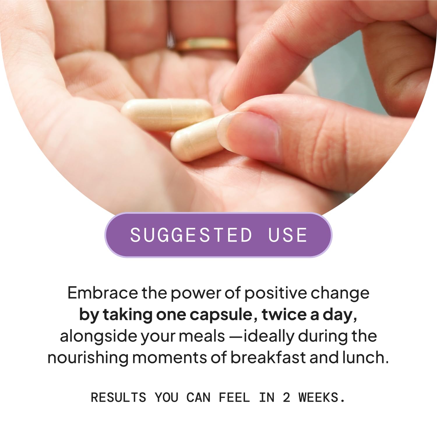 SELF NUTRITION diet-guide-e-book: plan diététique pratique post-achat