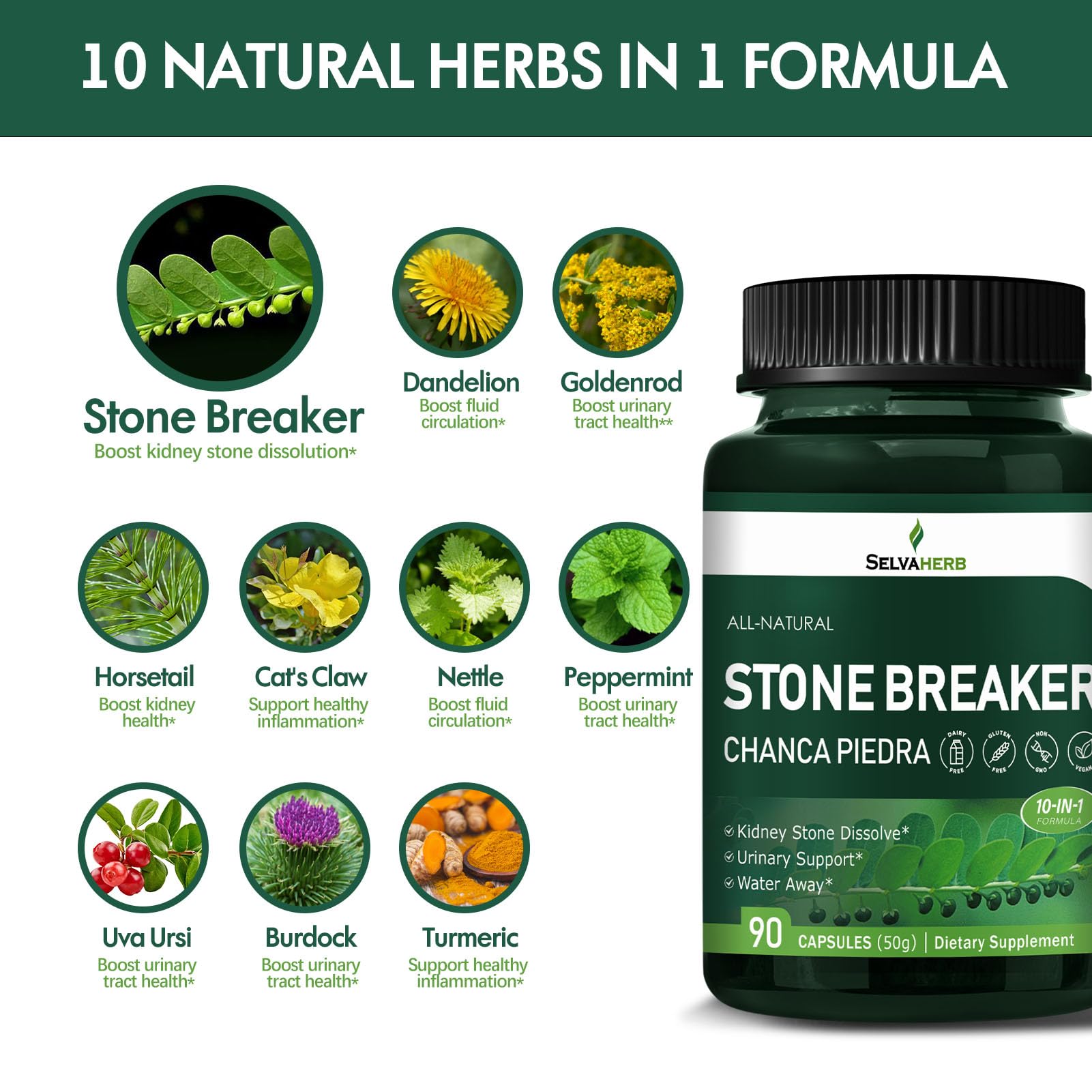 Selvaherb Dissolvant de Calculs, ingrédients à base de plantes, synergie naturelle