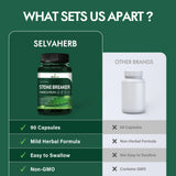 Selvaherb Dissolvant de Calculs, deux gélules par jour pour une routine pratique