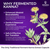KANNAFOCUS SEMBRA NATURALS – Tableau des ingrédients avec kanna fermenté et BioPerine