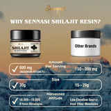 Sennasi Shilajit résine avec mesures incluses, dosage pratique.