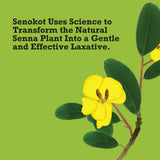 Senokot notice et étiquettes de dosage, guide d’utilisation.