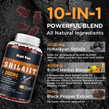 SEPT YAN Shilajit gommes minéraux Himalaya pour soutien quotidien