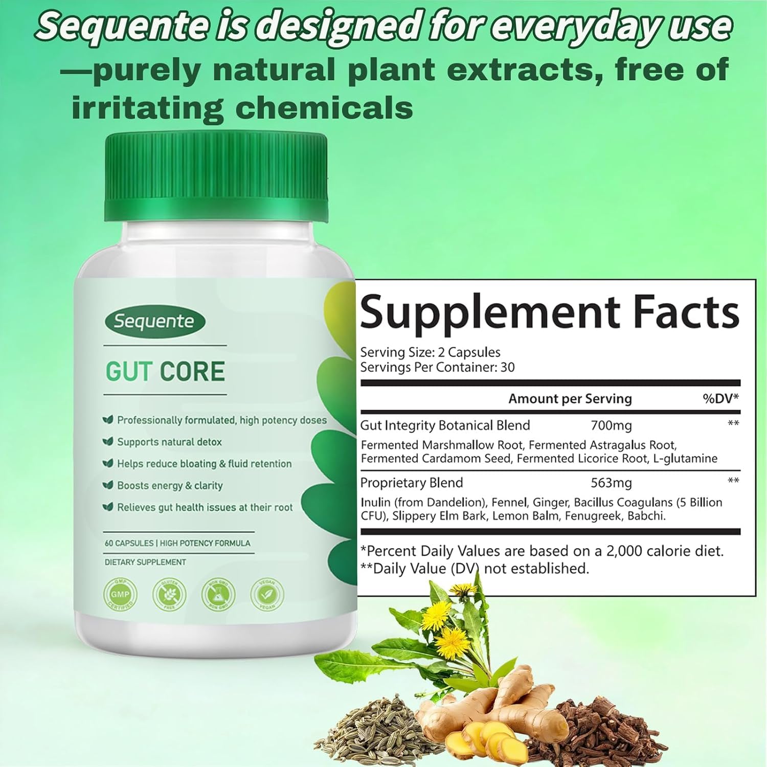 Capsules GutCore Sequente apportent un soutien doux au confort intestinal au quotidien.