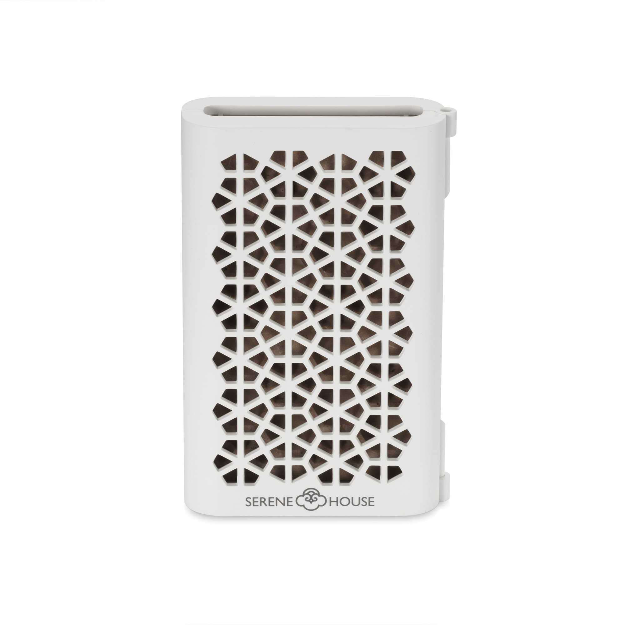Ambiance relaxante avec Puccini Serene House pour espace de travail.