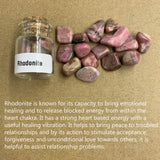 Améthyste: set cristaux 45 bouteilles apporte douceur et ambiance zen.