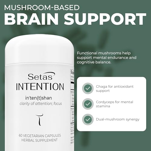 Setas Intention – gingembre et rhodiola, énergie mentale et endurance pour les tâches exigeantes.
