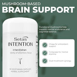 Setas Intention – gingembre et rhodiola, énergie mentale et endurance pour les tâches exigeantes.