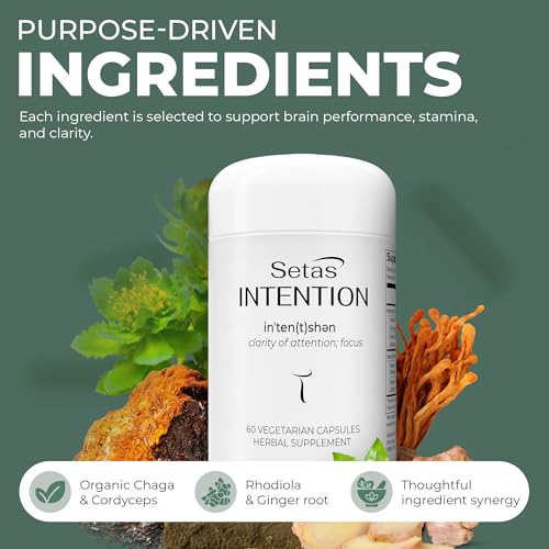 Setas Intention – ingrédients chaga et cordyceps, antioxydants potentiels pour le soutien cognitif.