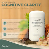 Setas Intention – rituel bureau zen, utilisation discrète pour améliorer l'attention.