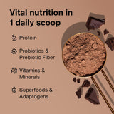 Shakeology poudre vanille 30 portions, protéine pratique et sans gluten prêt à mélanger.