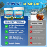 SHANDR gommes vitamines C et E antioxydantes