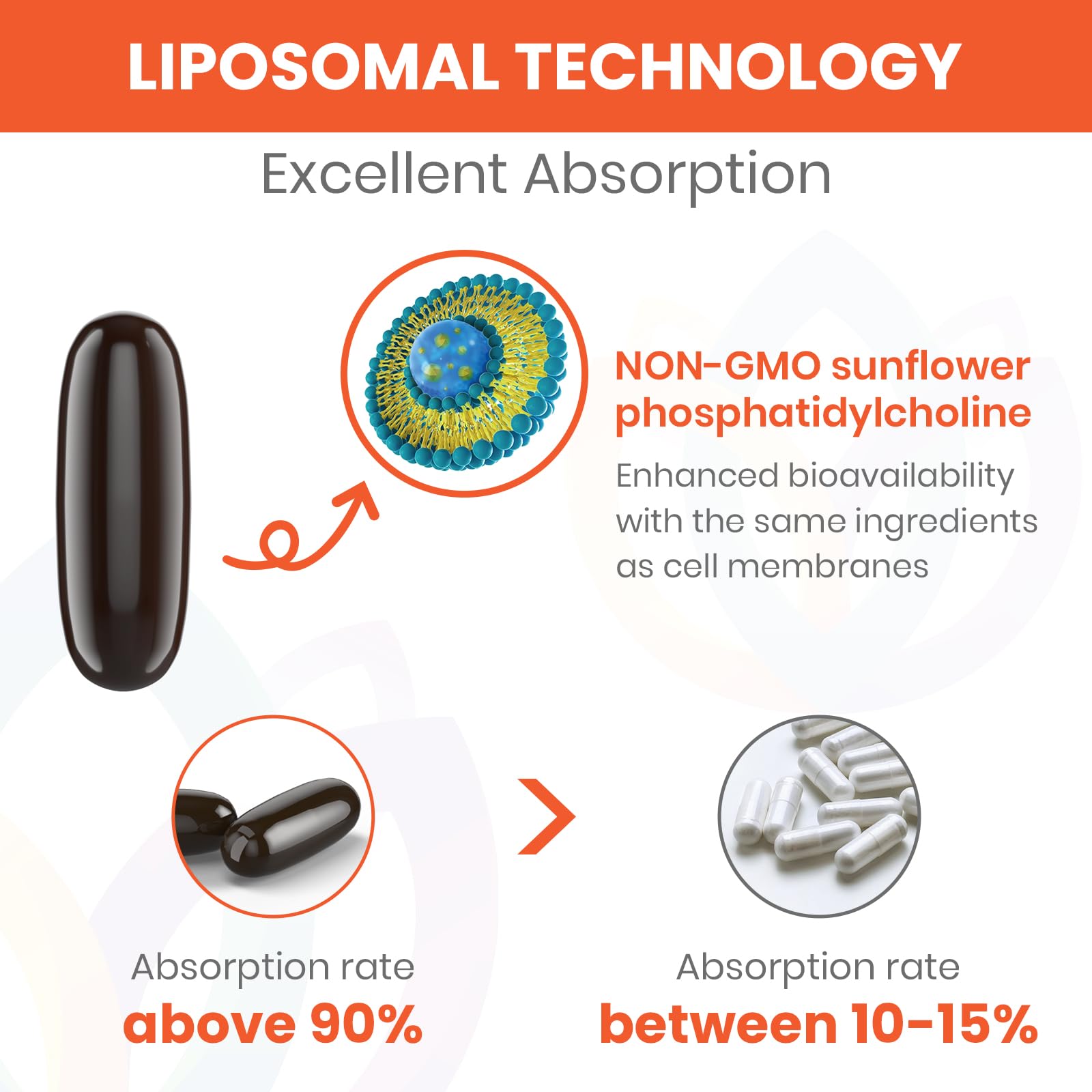 Ingrédients Non-GMO et phosphatidylcholine favorisant l’absorption.