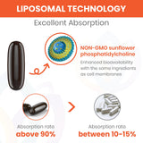 Ingrédients Non-GMO et phosphatidylcholine favorisant l’absorption.