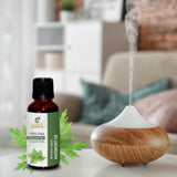 Bain relaxant avec Mugwort Sheer Essence pour un moment de calme.