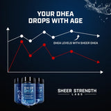 Utilisation homme et femme – DHEA adaptée à différents modes de vie.