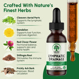 SHELTREE HEALTH emballage sûr, flacon protégeant les extraits naturels.