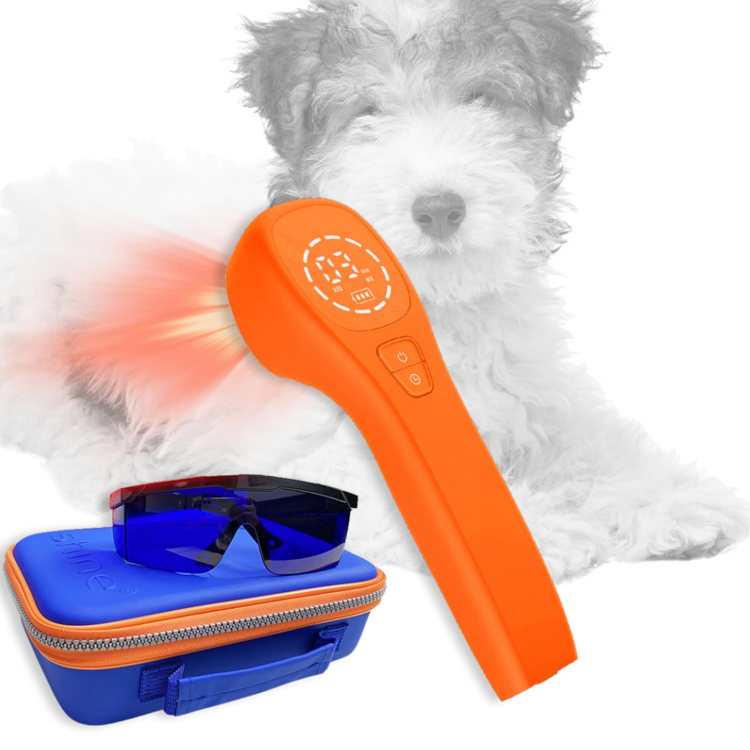 SHINE VetLight Pro — amélioration du bien-être animal lors des séances à domicile.
