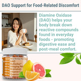 Gommes SHIZAM DAO sans additifs artificiels, option vegan sûre.