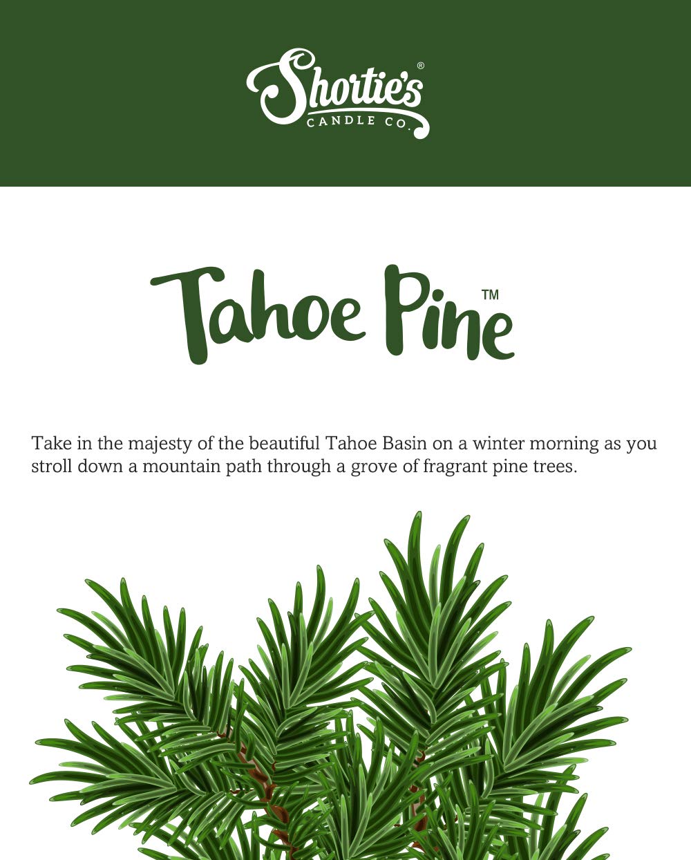Shortie's Tahoe Pine: cubes de cire diffusion continue avec brûleurs standards.