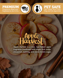 Shortie's Candle Company Fabriqué aux États-Unis et huiles essentielles américaines